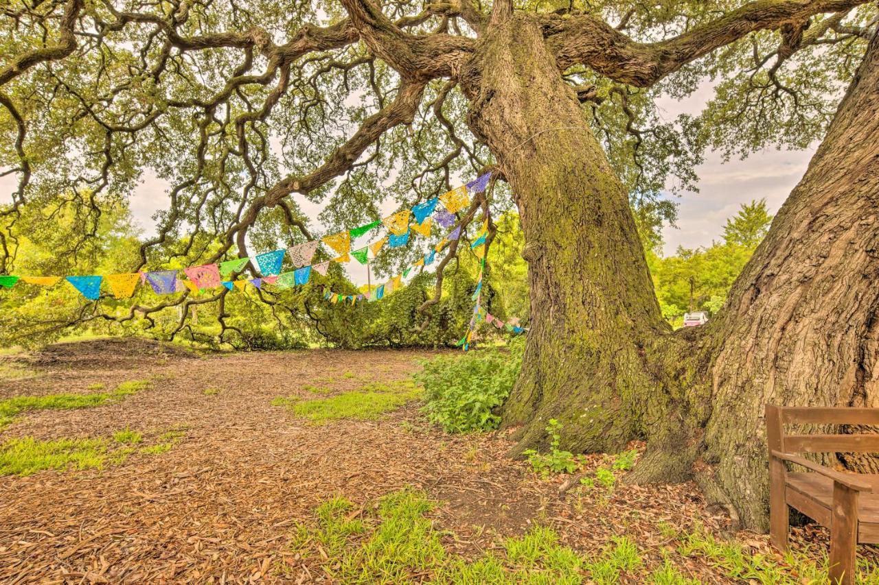 The Gathering Place Brenham Home On 6 Acres Экстерьер фото